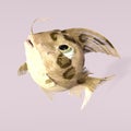 3d-illustration of an isolated colorful alien fantasy fish creature Royalty Free Stock Photo