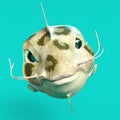 3d-illustration of an isolated colorful alien fantasy fish creature Royalty Free Stock Photo