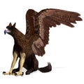 3d-illustration of an isolated griffin fantasy creature Royalty Free Stock Photo