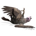 3d-illustration of an isolated griffin fantasy creature Royalty Free Stock Photo