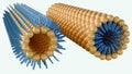 A 3D rendering of a lamellar phase and an inverse hexagonal phase
