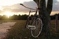 3d rendering of leaned black bicycle at tree in the meadow gras