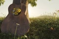 3d rendering of a leaning old ukulele filled with flowers Royalty Free Stock Photo