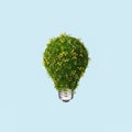 3D rendering of light bulb covered with grass Royalty Free Stock Photo