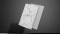 3D Rendering of Light Colored Single Floating Floor and Wall Tiles