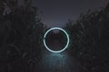 3d rendering of lighten circle portal in the middle of cornfield at night