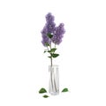 3D rendering of a lilac branch in a glass vase isolated on a white background Royalty Free Stock Photo