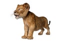 3D Rendering Lion Cub on White