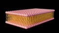 3d rendering of lipid monolayer on archaea membrane