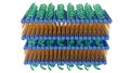 3D rendering of lipid-nucleic acid complexes