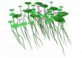 3D Rendering Lous Flowers on White