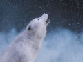 3D rendering of a majestic white wolf howling Royalty Free Stock Photo