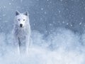 3D rendering of a majestic white wolf in snow Royalty Free Stock Photo