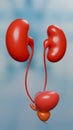 3D rendering of male urinary system showing kidneys, bladder, and prostate with bokeh background Royalty Free Stock Photo