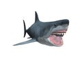 3D Rendering Megalodon Shark on White Royalty Free Stock Photo
