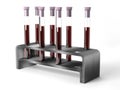 Metal rack with medical test tubes with blood samples Royalty Free Stock Photo