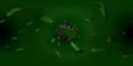 3d rendering Microscope virus- bacteria close up.  Equirectangular  360 VR image.  The medical panoramic background Royalty Free Stock Photo
