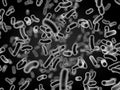 3D rendering microscopic bacteria closeup