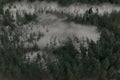 3d rendering of misty forest in aerial view