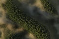 3d rendering of misty forest from aerial view