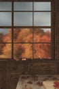 3d rendering of misty windows of a wooden cabin in front of autumn trees