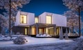 3d rendering of modern house with garden in winter night Royalty Free Stock Photo