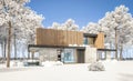 3d rendering of modern house with wood plank facade in winter day