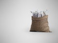 3d rendering money falling in bag on gray background with shadow