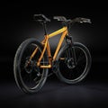 3D Rendering Mountain Bike