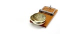 3D rendering of Mousetrap and golden bitcoin coins, Money business deception symbol concept