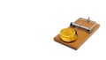 3D rendering of Mousetrap and golden dollar coins, business deception symbol concept