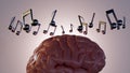 musical notes and a human brain Royalty Free Stock Photo