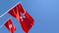 3D rendering of the national flag of Hong Kong waving in the wind