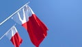 3D rendering of the national flag of Malta waving in the wind