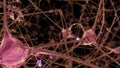 3D rendering of a network of neuron cells and synapses in the brain through which electrical impulses and discharges pass