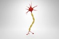 3D rendering of Neuron anatomy model.