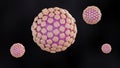 3d rendering of Norovirus causes stomach flu Royalty Free Stock Photo