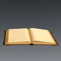 3D Rendering of an old book open with blank pages Royalty Free Stock Photo