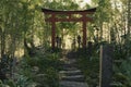 3d rendering of an old natural path in front of torii gate and stone lantern in the evening sunlight. Concept ancient Japanese Royalty Free Stock Photo