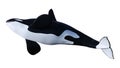 3D Rendering Orca Killer Whale on White