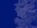 3d rendering of an outlined tree blueprint on blue back