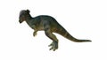 Detailed 3D Illustration of a Pachycephalosaurus on Isolated Background Royalty Free Stock Photo