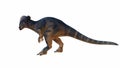 Detailed 3D Illustration of a Pachycephalosaurus on Isolated Background Royalty Free Stock Photo