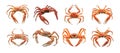 3D Rendering Pack of a King Crabs on Transparent Background Royalty Free Stock Photo