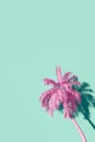 Palmtree against turquoise wall render