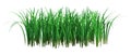 3D Rendering Patch of Grass on White Royalty Free Stock Photo