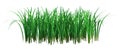 3D Rendering Patch of Grass on White