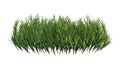 3D Rendering Patch of Grass on White Royalty Free Stock Photo