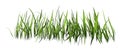 3D Rendering Patch of Grass on White