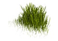 3D Rendering Patch of Grass on White Royalty Free Stock Photo